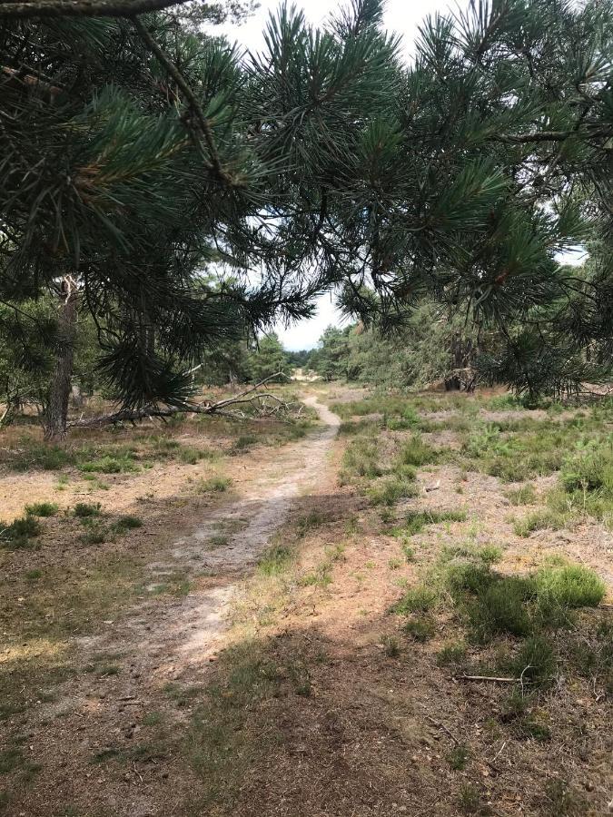 Doornspijk Boshuisje Veluwe Mels Place المظهر الخارجي الصورة