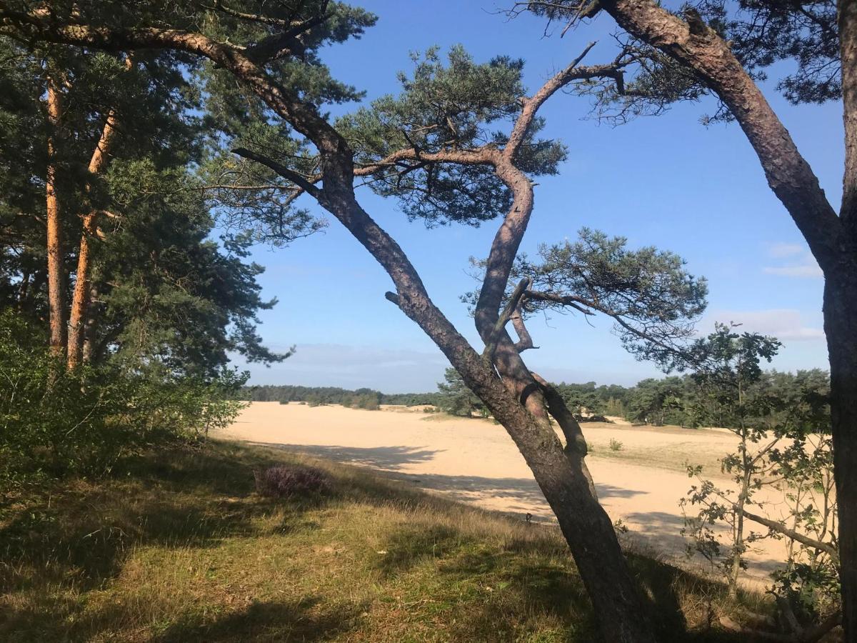 Doornspijk Boshuisje Veluwe Mels Place المظهر الخارجي الصورة